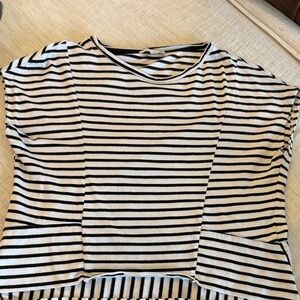 Zara Striped Crop Top